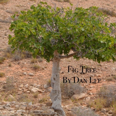 Fig Tree | Boomplay Music