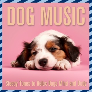 Relax my best sale dog music