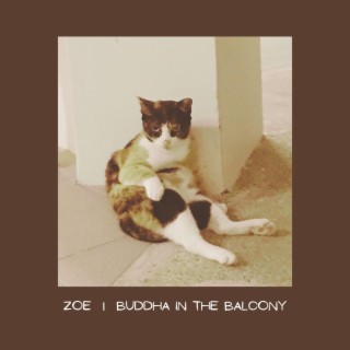 Zoe (Acid Mix) lyrics | Boomplay Music
