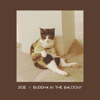 Zoe lyrics | Boomplay Music