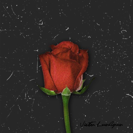 Red Roses | Boomplay Music