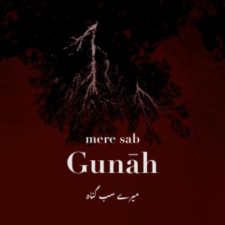 Mere Sab Gunāh