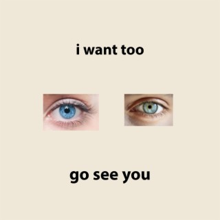 i want to go see you lyrics | Boomplay Music