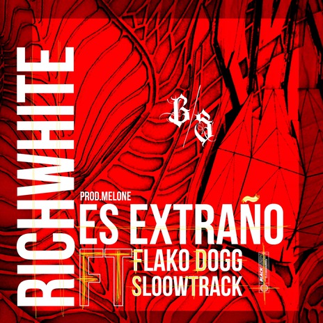 Es Extraño ft. Flako Dogg & Sloowtrack | Boomplay Music