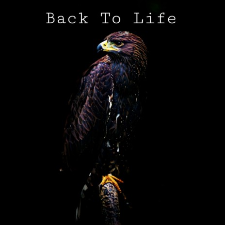 Back to Life | Boomplay Music