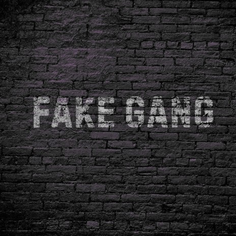 Fake Gang | Boomplay Music