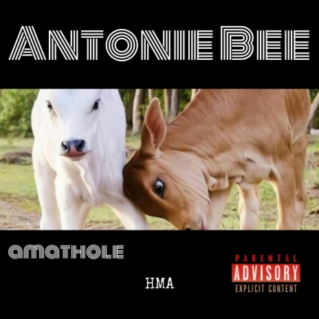 Amathole (Instrumental.mix)