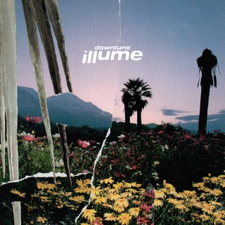 illume