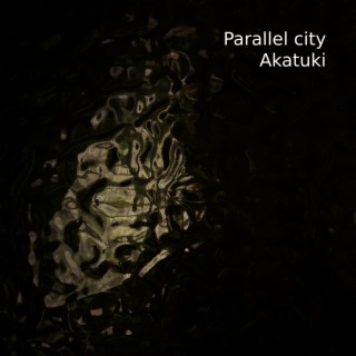 Parallel City