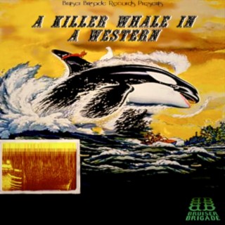 A Killer Whale In A Western | Boomplay Music