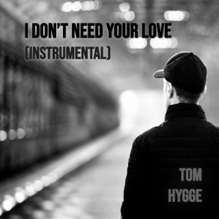 I Don't Need Your Love (Instrumental)