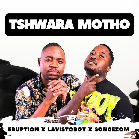 Tswhara motho (Radio Edit) ft. Songezom & Lavistoboy | Boomplay Music