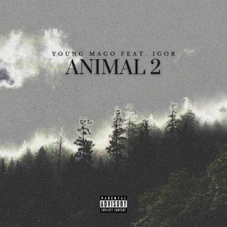 Animal 2 ft. Young Mago & Igor11 | Boomplay Music