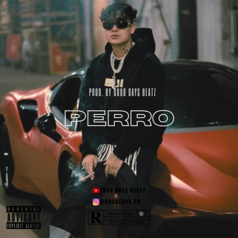 PERRO | Boomplay Music