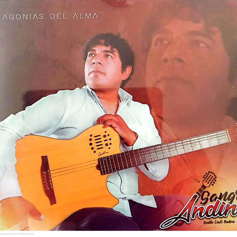 Sangre andina | Boomplay Music