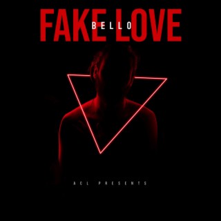 Fake Love