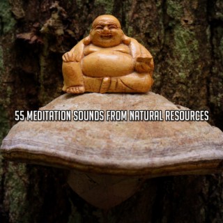 55 Sons de méditation provenant des ressources naturelles