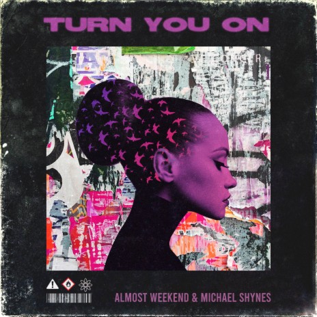 Turn You On (Instrumental Version) ft. Michael Shynes