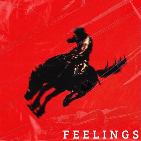 Feelings