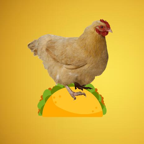 Chicken on a taco