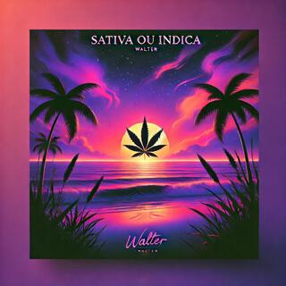 SATIVA OU INDICA