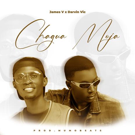 James V-Chagua Moja ft. Darvin Vic | Boomplay Music