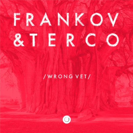 Wrong Vet (Original Mix) ft. Terco
