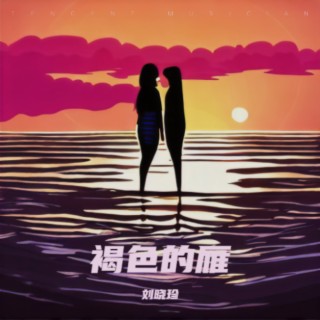 褐色的雁 lyrics | Boomplay Music