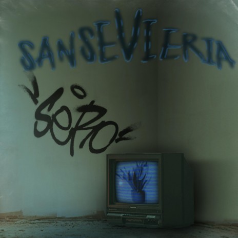 Sansevieria ft. 6teen