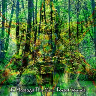 17 Massage The Mind Forest Sounds