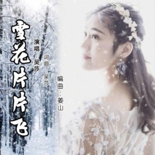 雪花片片飞（Dj版） lyrics | Boomplay Music