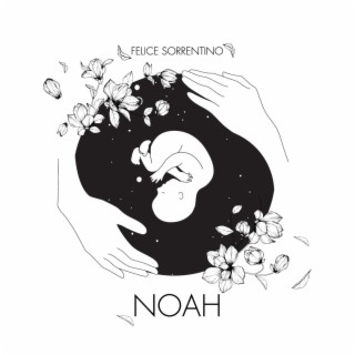 NOAH