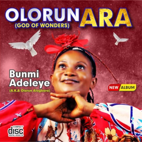 Olorun Ara | Boomplay Music