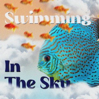 Swimming In The Sky