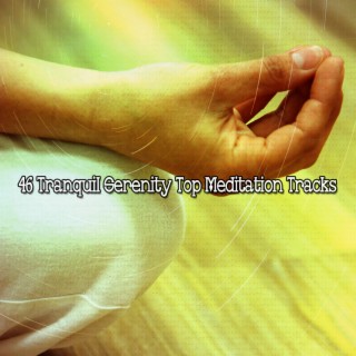 46 Meilleurs morceaux de méditation Tranquil Serenity