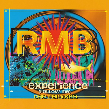 Experience (Follow Me) (Celvin Rotane Remix) | Boomplay Music