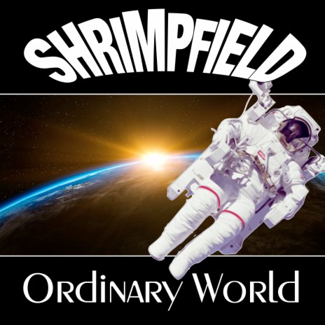 Ordinary World | Boomplay Music