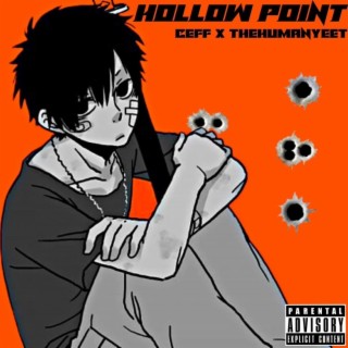 Hollow point
