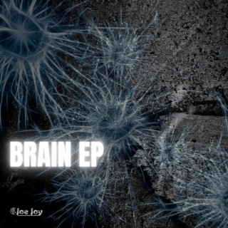 Brain