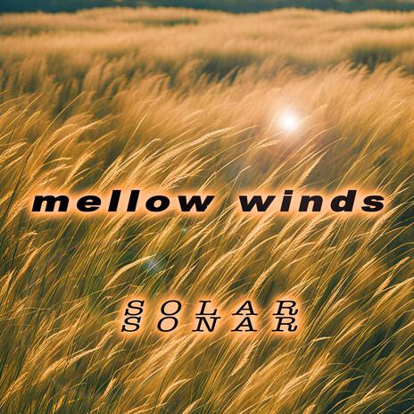 Mellow Winds | Boomplay Music