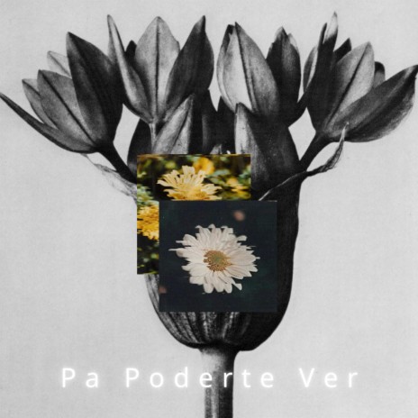 Pa Poderte Ver ft. Ana Mancebo, Sobrino & juliocesar | Boomplay Music