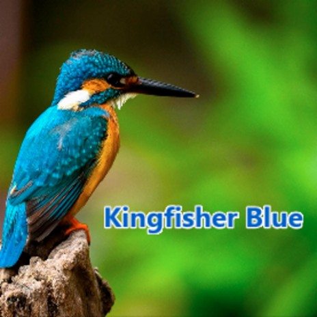 Kingfisher Blue | Boomplay Music