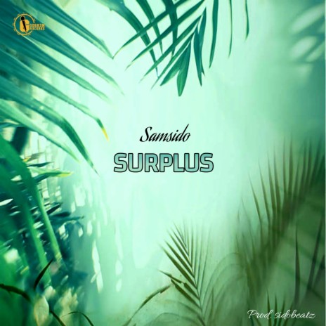 Surplus | Boomplay Music