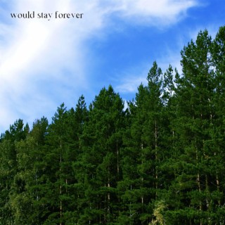 Would Stay Forever