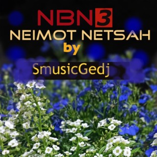 neimot netsah NBN3