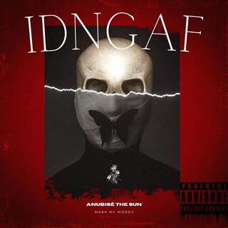 IDNGAF lyrics | Boomplay Music