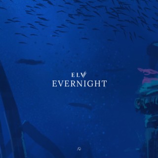 Evernight