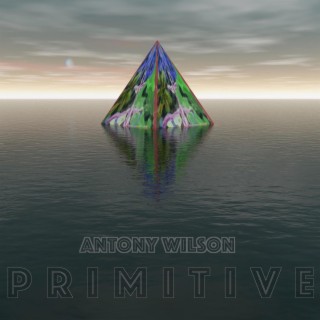 PRIMITIVE