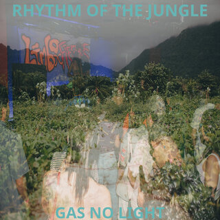 Rhythm of the Jungle