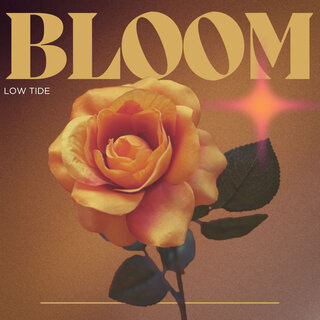 Bloom